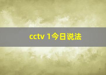 cctv 1今日说法